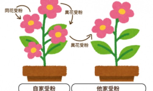 艾灸火烤与红外线区别是什么-【艾灸好还是红外线好】艾灸和红外线烤灯的区别 - 艾灸火烤与红外线区别网